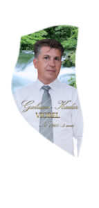 Fundal 7